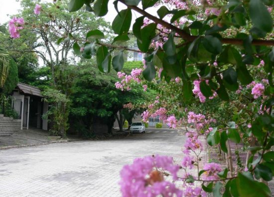 Rua da cidade de Feliz - RS que recebeu os Pisos Unistein da Concrefel